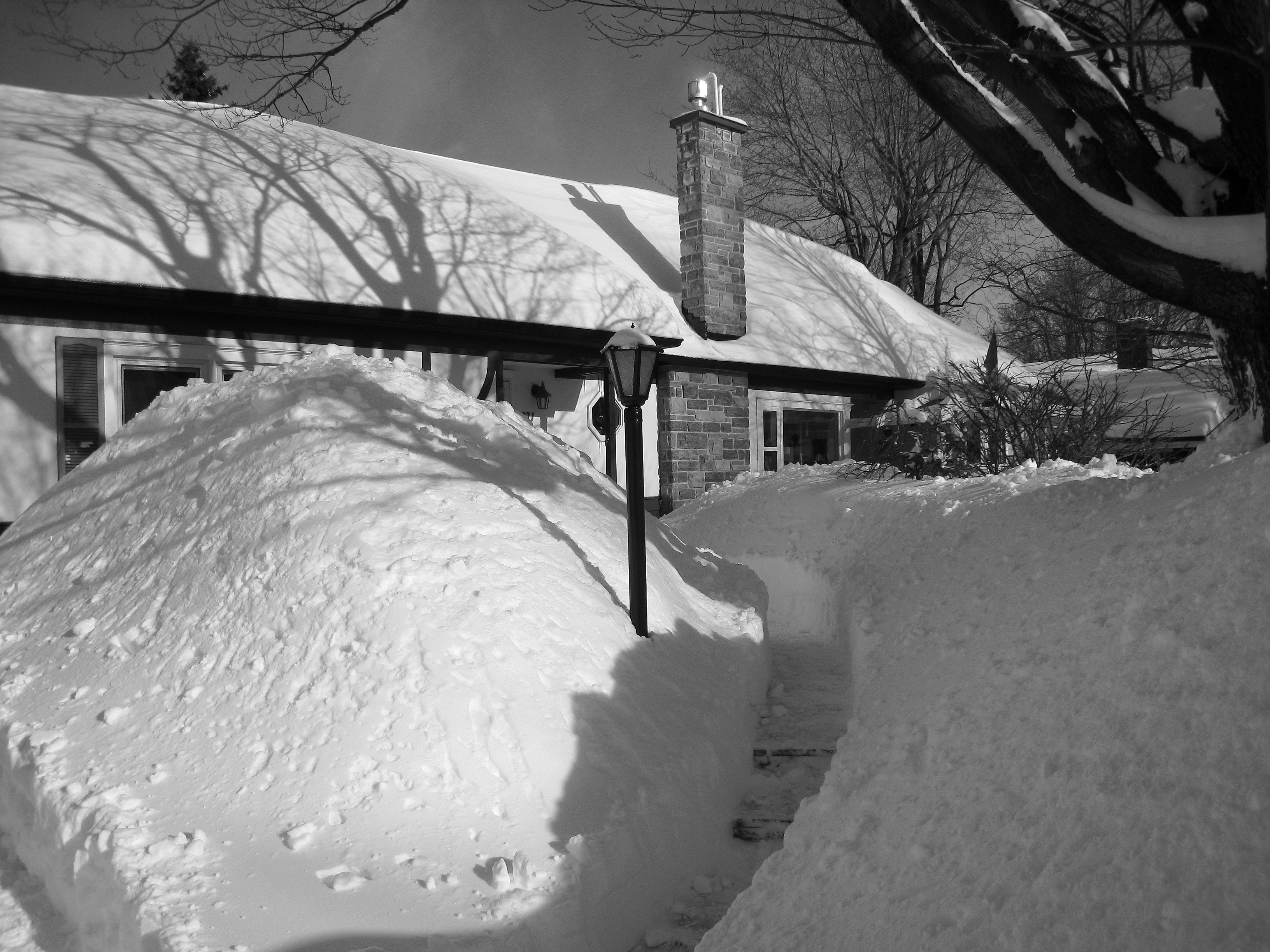 .\misc\Snow\Ottawa_2008.jpg